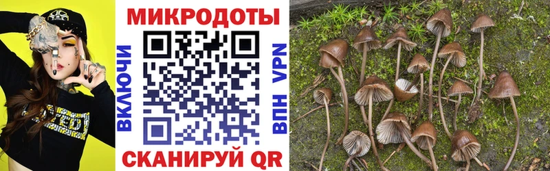Галлюциногенные грибы прущие грибы  где купить наркотик  Покровск 
